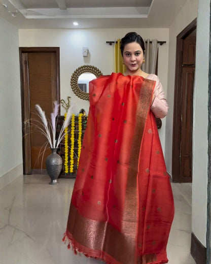 Sindoori Glow Cotton Jari Suit