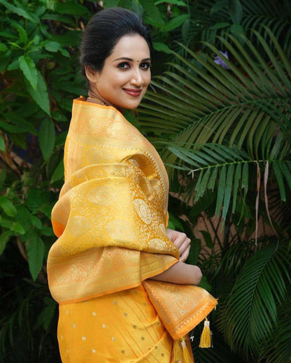 AMRAPALLI SILK SAREE
